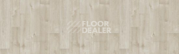 Линолеум Tarkett Bonus DUART 2 фото 1 | FLOORDEALER